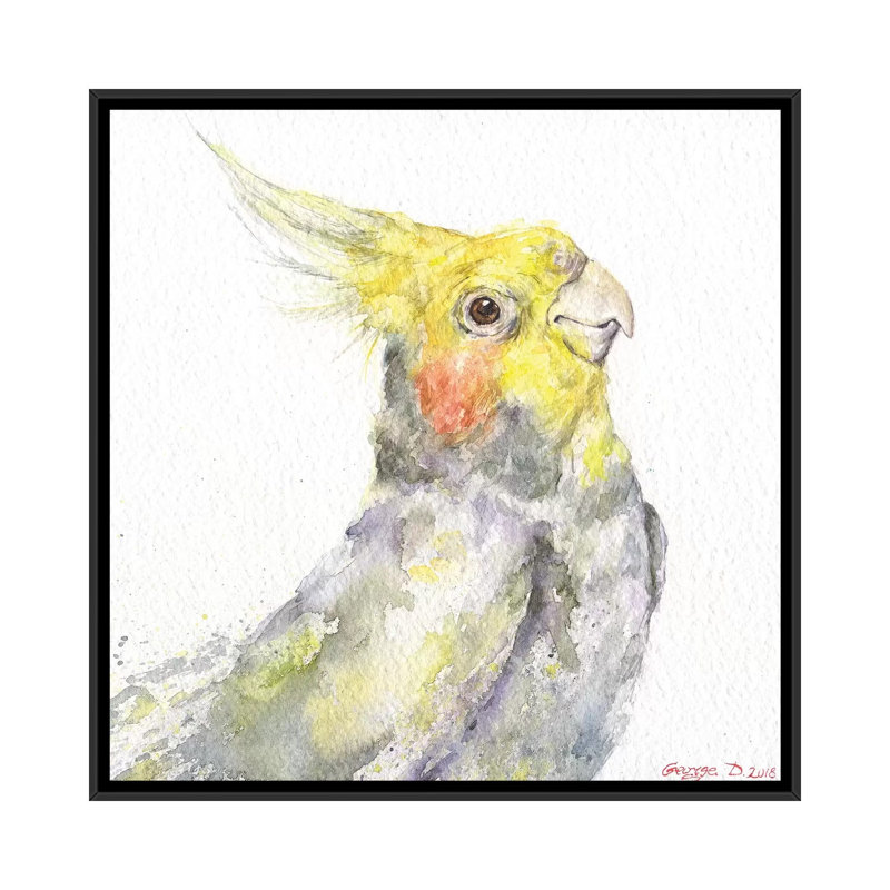 Art sur toile perroquet, Cadre noir, H 18 po x l 18 po x P 1,5 po