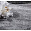 Jocelynn Abstract Area Rug-32130026