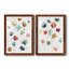 «Lollipop Garden I», ensemble de 2 impressions-792062814-792062794-726507561