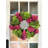 Addison 24" Peony Wreath