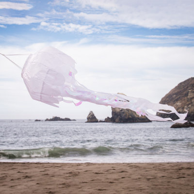 Manche à air en méduse irisée 3D