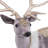 Christmas Deer Stuffed Holiday Accent