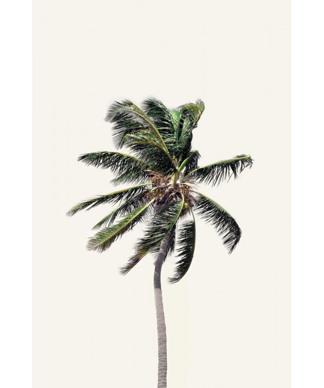 Wrapped Canvas Print, 76.2cm H x 50.8cm W