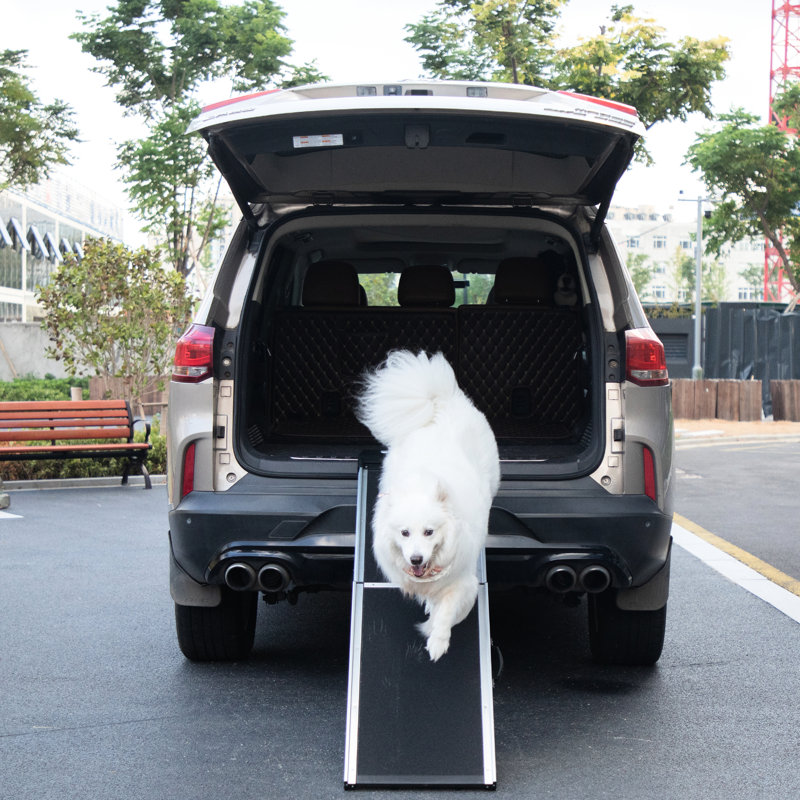 Animal pliable en aluminium avec poignée et patins antidérapants, pour chiens de différentes tailles, facile à nettoyer, stable, tapis antidérapant à rampe noire, convient à la plupart des étables