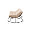 Fleece Fabric；Iron Rocking Chair-1993216745