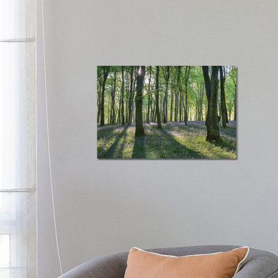 Bluebell Woodland III 1 Piece Wrapped Canvas Wall Art