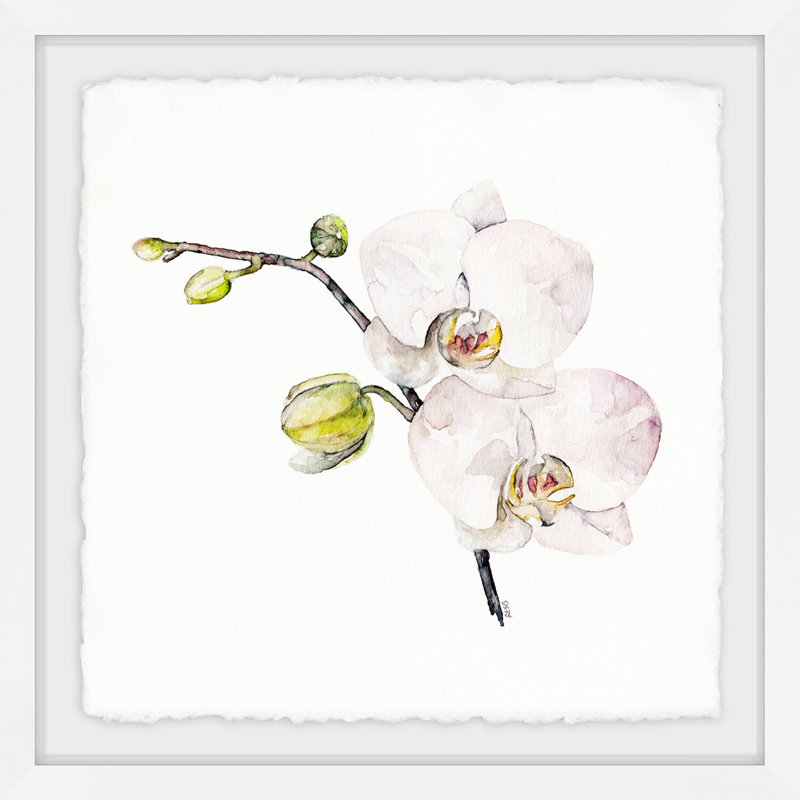 « orchidée », impression encadrée, H 24 po x l 24 po x P 1,5 po