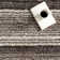 Panitz Hand Tufted Multi Striped Shaggy Gray/Brown Area Rug