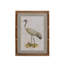 Wading Bird Prints, Set of 4