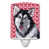 Black Alaskan Malamute