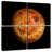 Oberle Venus Close Up-109153627