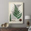 Collectionner Ferns II - galerie sur mesure-1944582728