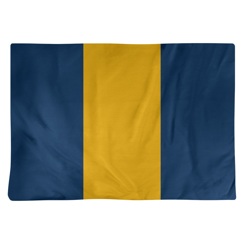 Récapitulatif de 18 po West Virginia, Bleu / Jaune moyen, Polyester sergé