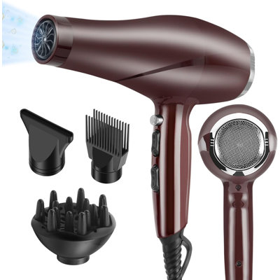 Professional Hair Dryer