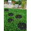 Ensemble de 4 tapis de jardin en caoutchouc et motif cachemire rond noir de 12 po x 12 po Eiichi Alora