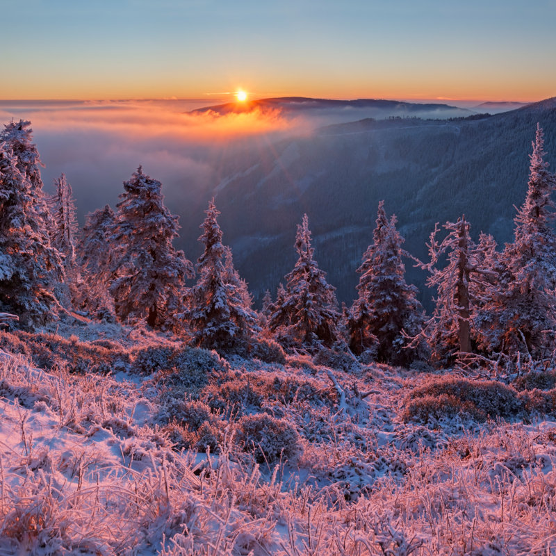 Winter Wonderland - Wrapped Canvas Print, 30cm H x 30cm W