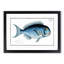 Blue Fish by M.E. Bloch - Picture Frame Painting Print-55687119-55687120