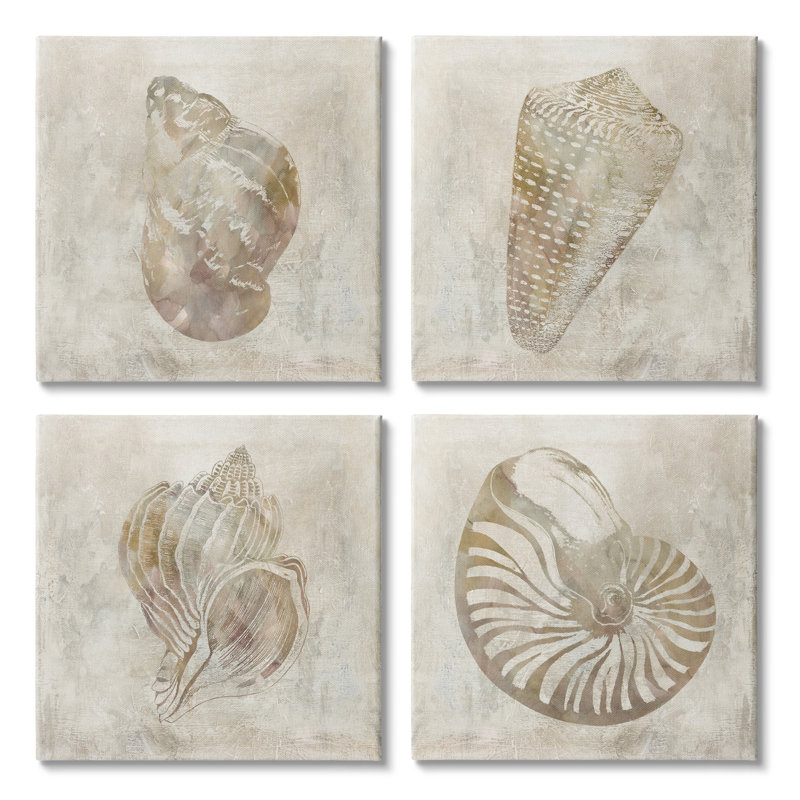 " Vintage Nautilus Seashells Soft Brown Patterned Aquatic Animals " 4 - Pieces, Wrapped Canvas, 17" H x 17" W x 1.5" D