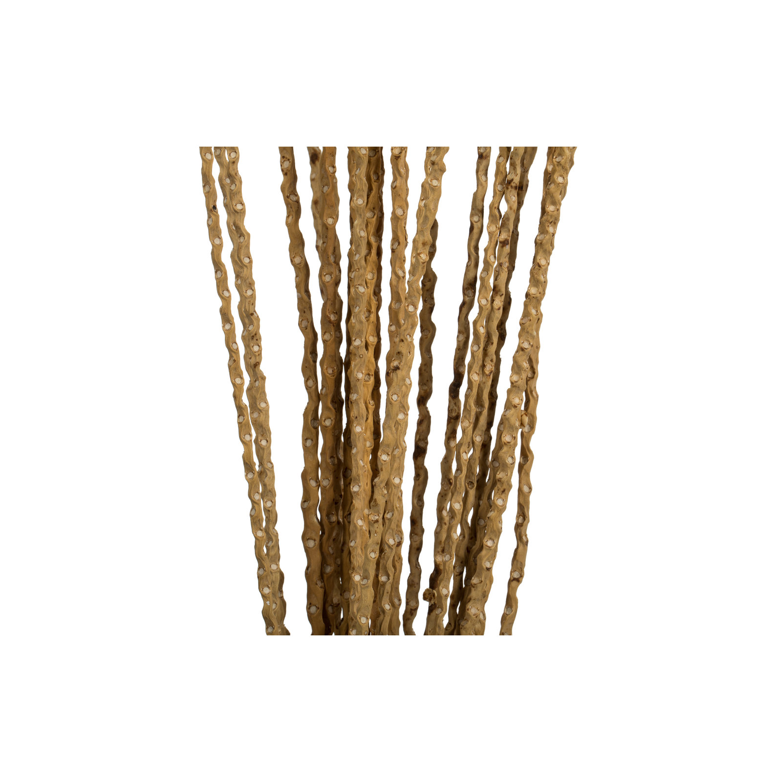36'' Plant