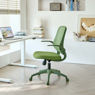 Fauteuil de bureau ergonomique et coloré 350LBS Home Office Mesh