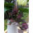 Silk Protea Arrangement in Vase