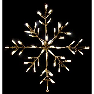 Snowflakes & Stars - 16 Cool White LED Snowflake with Clear Reflective  Acrylic Center