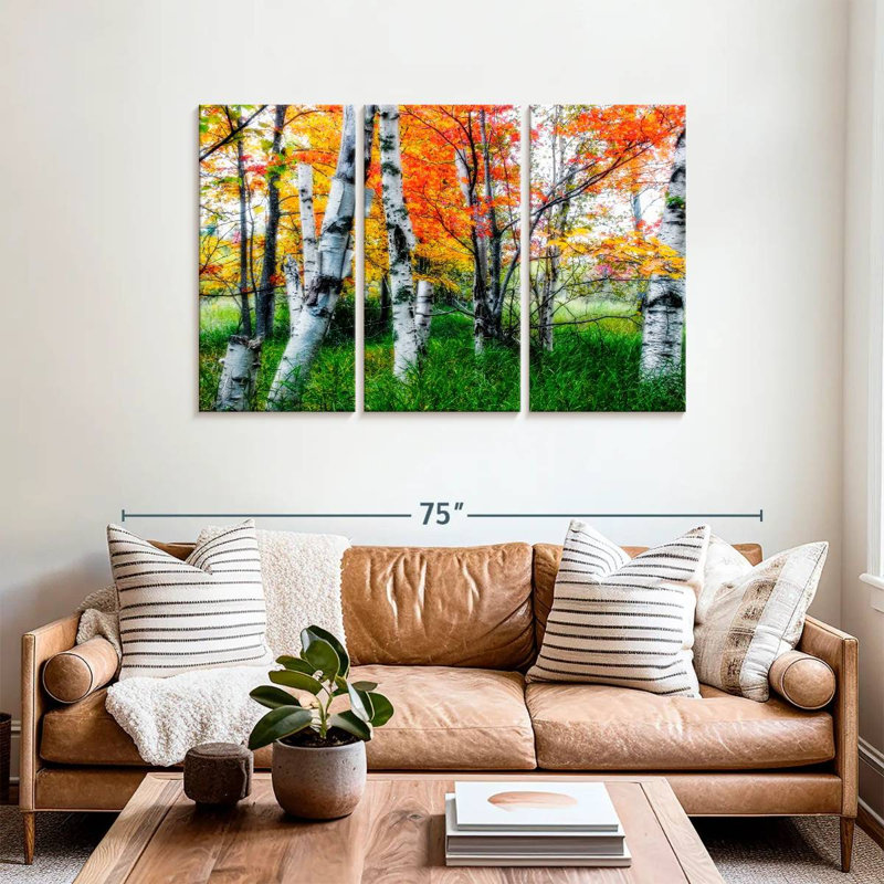 Alvord Birch Trees In Diffused Light During Fall, 36" H x 57" W