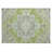 Machine Washable Indoor/Outdoor Chayden ACN1036 Rug-891132180