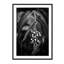 Rain Forest Lily - Picture Frame Photograph on Paper-74856294-87888865