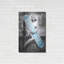«Marilyn Snowboard» par JJ Brando-1676536779