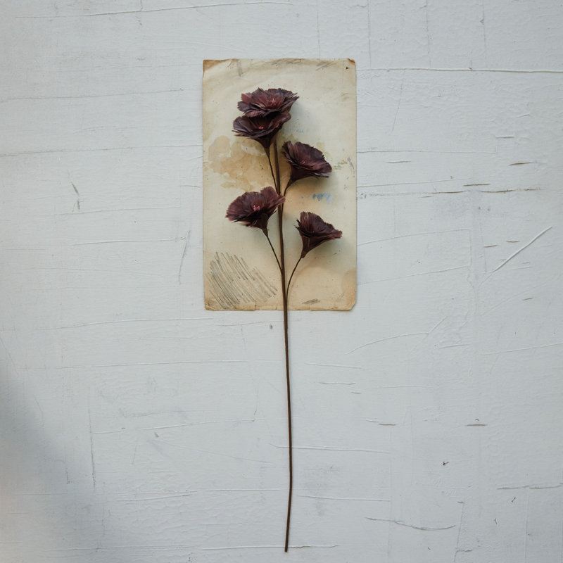 Tige de fleur en plumes avec métal et tige de fleur