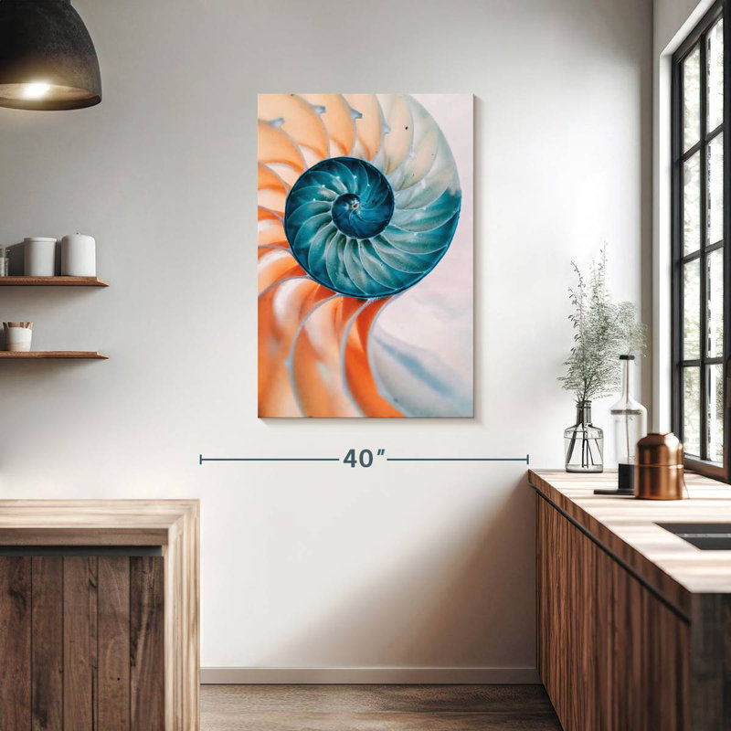 Brampt Translucent Nautilus Shell, 39" H x 26" W