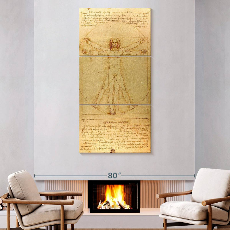 The Vitruvian Man, H 80 po x l 39 po
