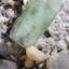 Green Apophyllite with Gem Calcite and Stilbite from Pune District, Maharashtra, India
