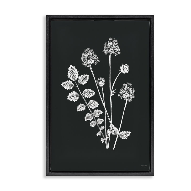 Toile flottante encadrée Herb Bunches Impression par House Fenway, H 25 po x l 17 po, Cadre flottant noir de jais