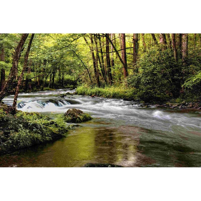 "Sunlight On Jakes Creek I" par Danny Head, reproduction d'art sur toile tendue, H 32 po x l 48 po