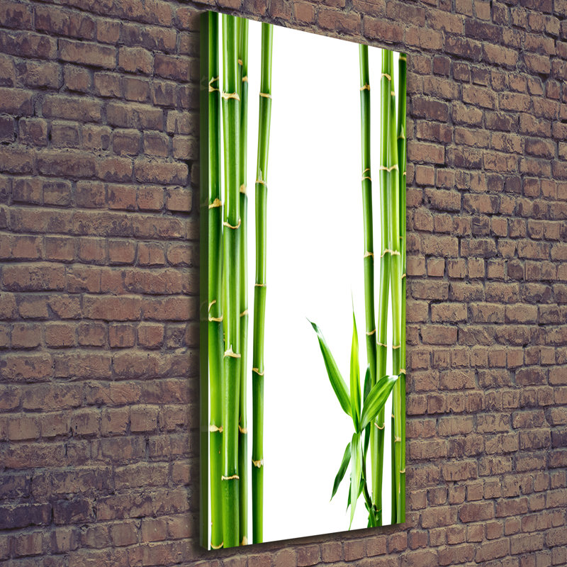 Bamboo 1 Piece Wrapped Canvas Wall Art