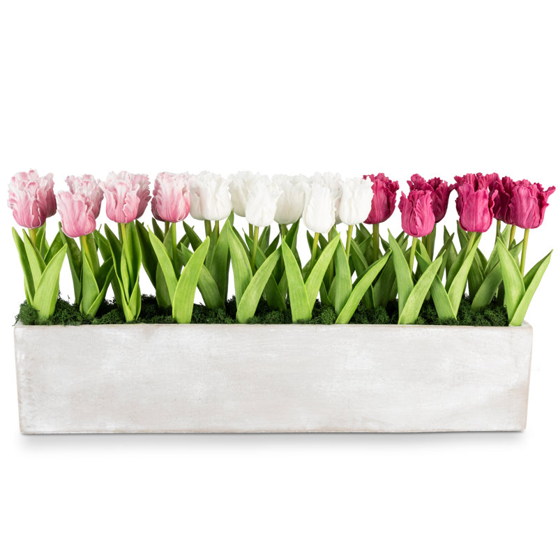 Polyethylene (PE) Tulip Arrangement in Vase