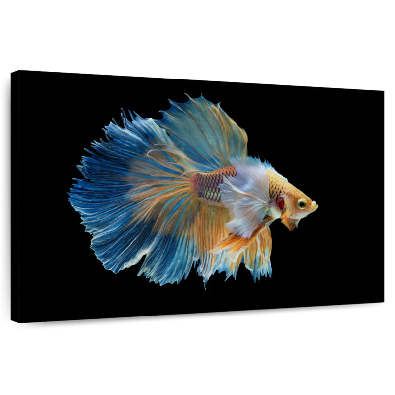 Brampt Sublime Fighter Fish, 32" H x 48" W