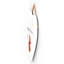 Carley Wall Decor