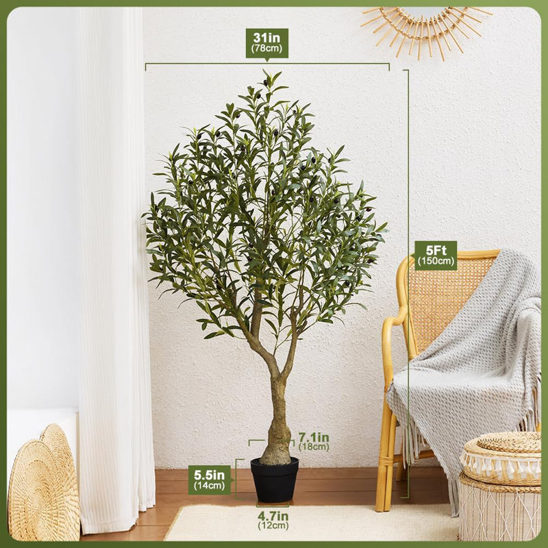 180cm Plant, 150 cm x 19 cm
