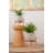 Elayna Ceramic Planter with Wood Stand-1800423400