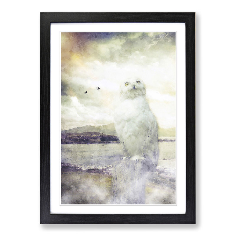 Snowy White Owl - Picture Frame Graphic Art, Black Framed, 36cm H x 27cm W x 2cm D
