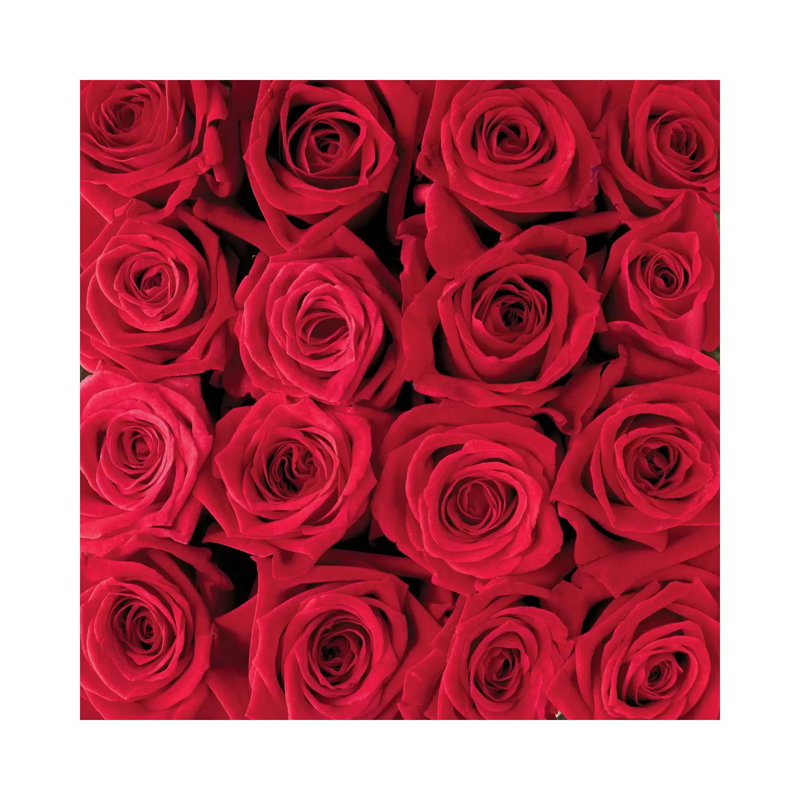 Red Rose Creation by Creatief Met Bloemen - Wrapped Canvas Print, 45.72 cm H x 45.72 cm W x 3.175 cm D
