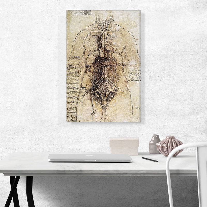 " Anatomical Study 1510 " by Leonardo Da Vinci Painting Print, 26" H x 18" W x 0.75" D