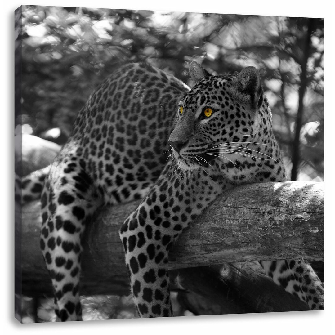 Fotodruck Leopard auf einem Zweig