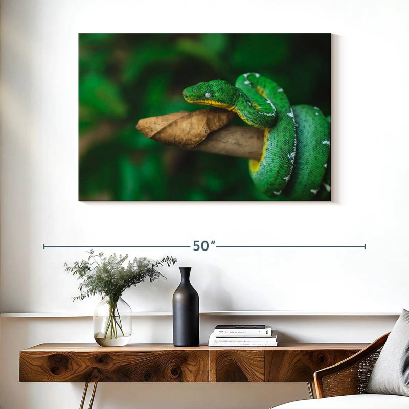 Emerald Tree Snake, 26" H x 39" W