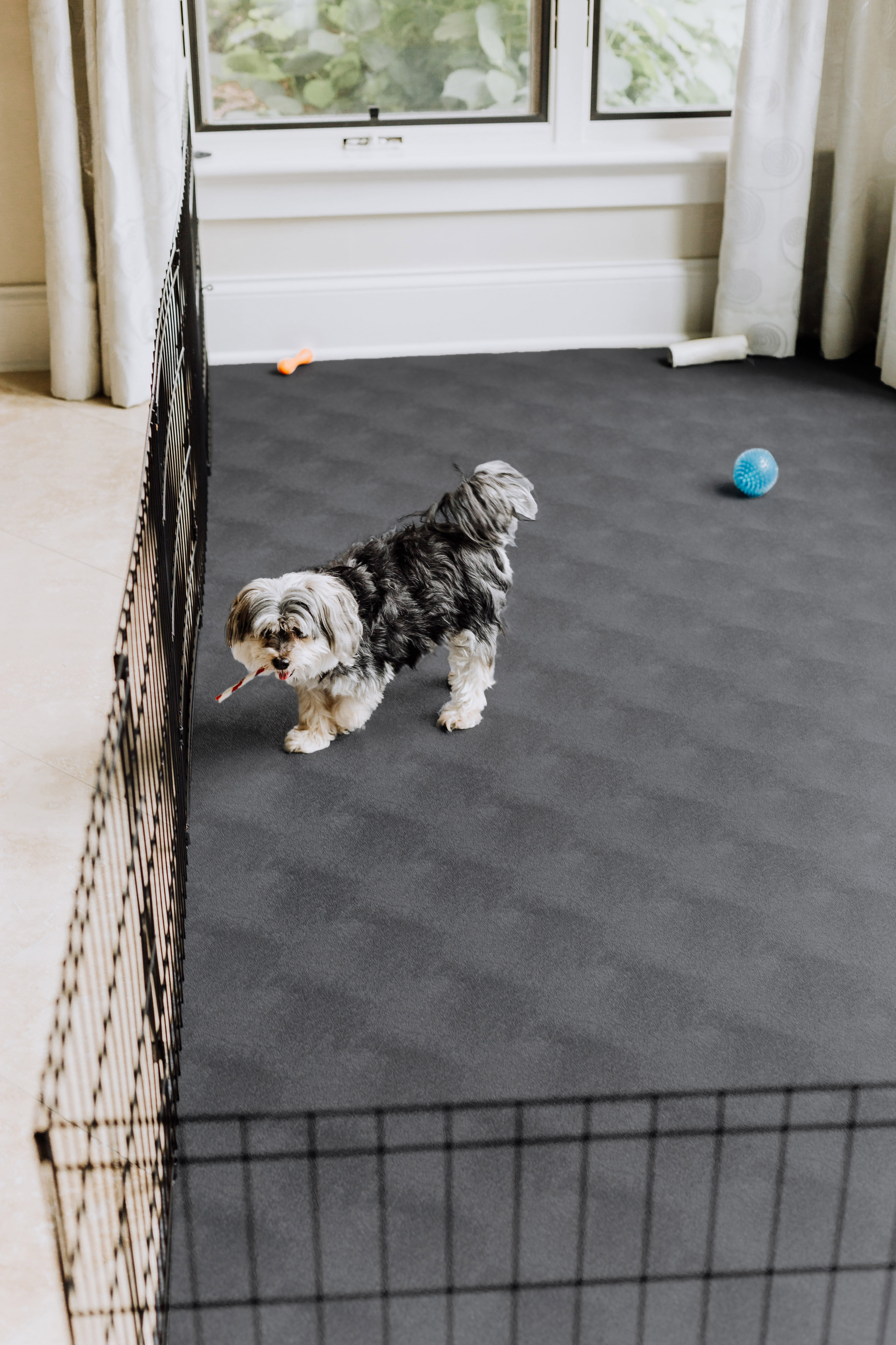 Protect My Old Dog From Slipping On Hardwood Floors: Mat Options