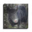 Art mural luxueux «Boar In The Wild» par Art Licensing Studio, 12 po x 12 po