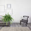 Fern Plant-25768687